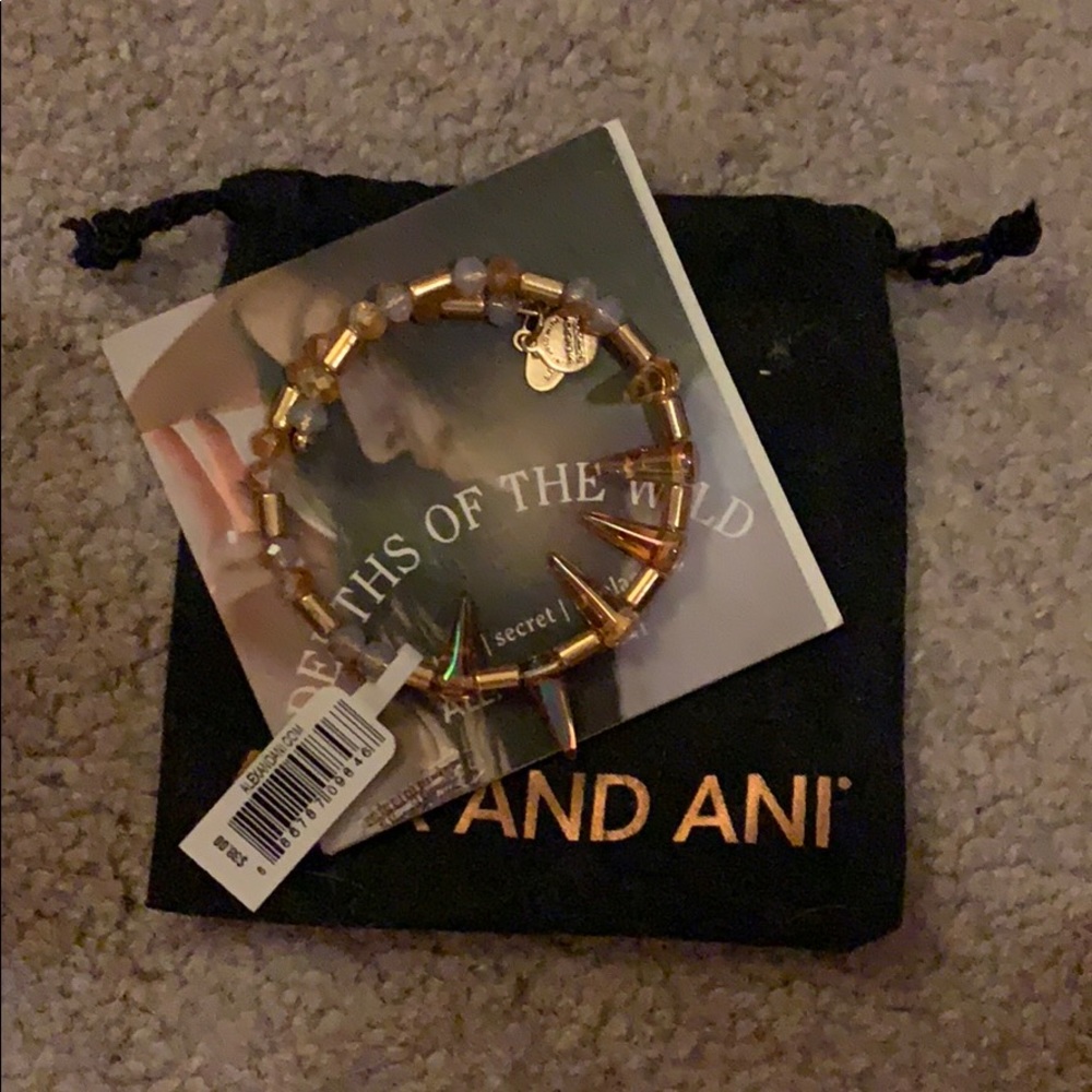 Alex and Ani “Depths of Wind” Wrap
